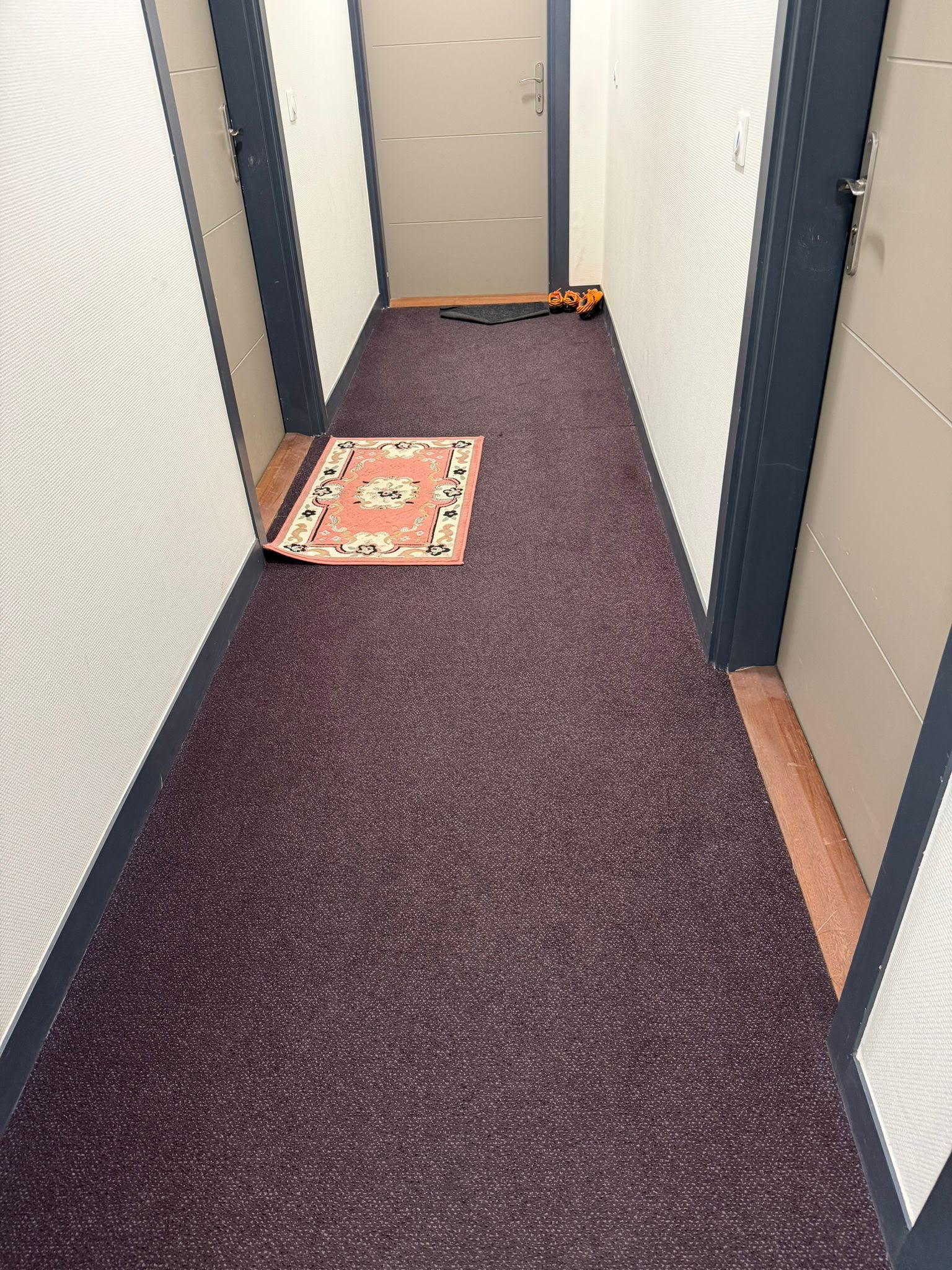 Moquette de couloir nettoyée — parties communes